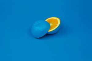 SCIENCE SPOTLIGHT: Curiosity, not discipline: What actually predicts creative thinking